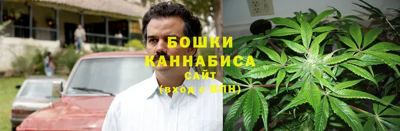 Бошки марихуана THC 21%  МЕГА tor  Ревда 